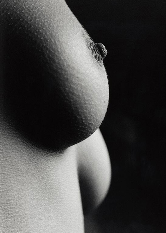 01-Detail-Yvonne-2001