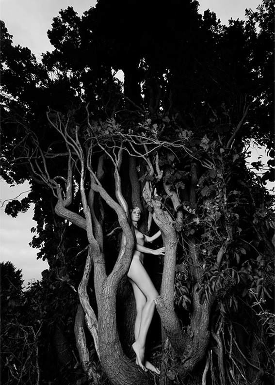 01_Judith_5232_TM100