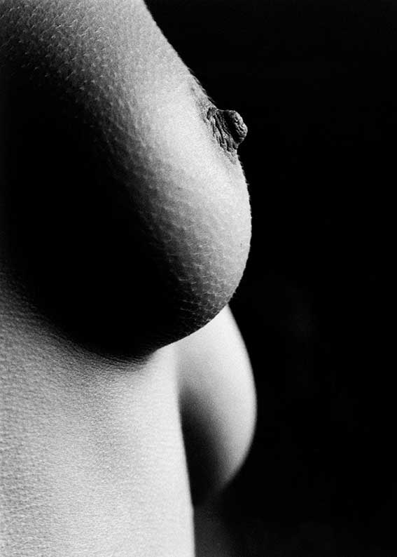 02-Detail-Yvonne-2001